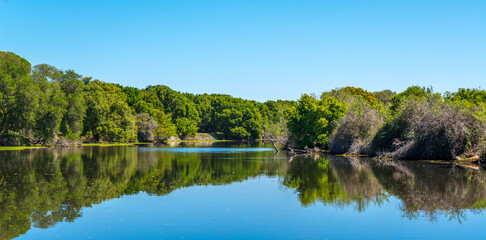 reflection of trees and perfect blue sky in water