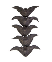 Chestnut Buffalo isolated