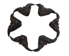 Chestnut Buffalo isolated