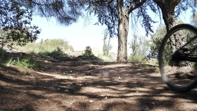 young man rides mountain bike in forest trail 
