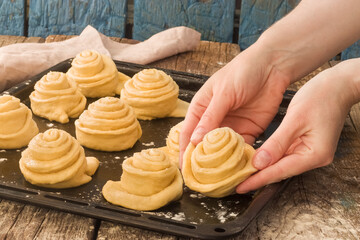 Rustic table. Making sweet buns. Hands spread the dough on a baking sheet.