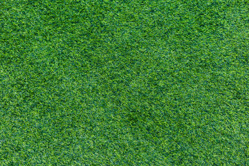 Green grass texture from a field , Green background