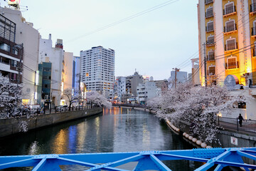 【神奈川】夕暮れ時の都橋商店街（春）