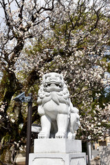 北野天満宮　東の鳥居の狛犬　京都市