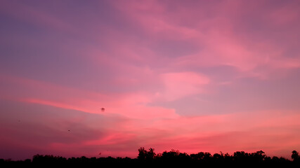 Beautiful landscape with The sunset behind the forest ,Nature background