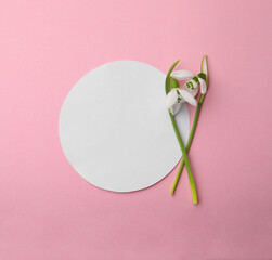 Beautiful snowdrops and paper card on pink background, flat lay. Space for text