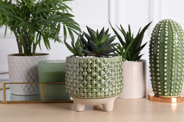 Beautiful Chamaedorea, Aloe and Haworthia in pots with decor on wooden table, closeup. Different...
