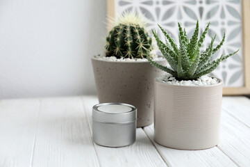 Closeup view of beautiful Aloe and Cactus in pots with decor on white wooden table, space for text. Different house plants