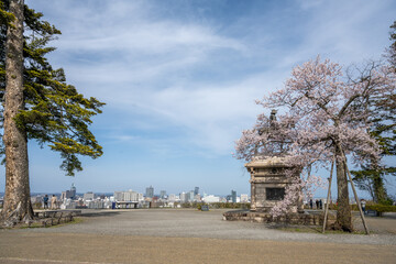 青葉山公園