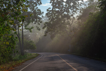 Obraz premium Sun rays through mist illumining a curved scenic road surrounded by beautiful green forest with light effects and shadows. Kaeng Krachan National Park, Phetchaburi - Thailand