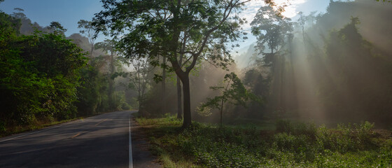 Sun rays through mist illumining a curved scenic road surrounded by beautiful green forest with light effects and shadows.  Kaeng Krachan National Park, Phetchaburi - Thailand