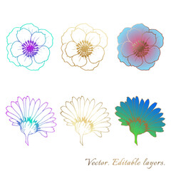 Plants line gold vectors. Collection set of botanical design elements flowers, buds. Gradient fill of elements. Perfect for logos, brands, invitations and postcards.