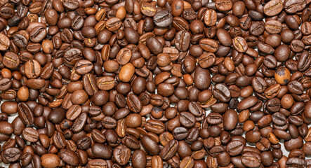 Fototapeta premium Roasted coffee beans on a flat background.