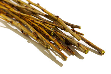 cut currant twigs close-up on a white background