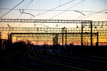 Fototapeta na wymiar Poles with electric wires near the railway at sunset. Background