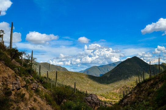 Paisaje de Zapotitl&aacute;n Salinas.