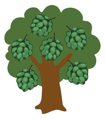 Custard Apple Tree Vector illustration