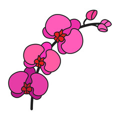 Orchid in cartoon style on white background. Isolated vector illustration.