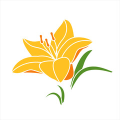 Yellow lily in cartoon style on white background. Isolated vector illustration.