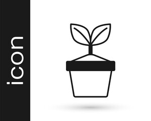 Black Plant in pot icon isolated on white background. Plant growing in a pot. Potted plant sign. Vector