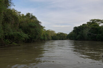 パンタナール湿原