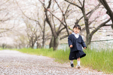 桜の並木を走るの幼稚園児