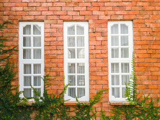 Fototapeta na wymiar White windows with the tiny tree on Orange brick wall, abstract art background and vintage wallpaper