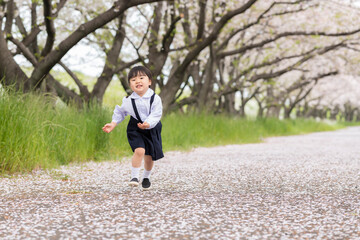 満開に咲いた桜の並木と幼稚園の制服を着た女の子