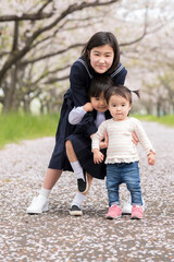 桜並木と新入学、新入園の女の子