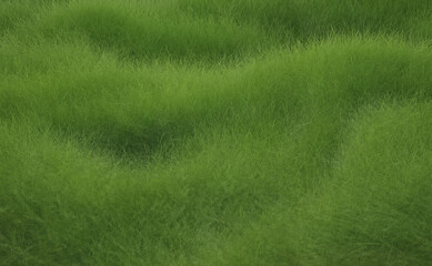 Fototapeta na wymiar Grass background. Fresh lawn grass texture. Perfect green grass carpet. Grass backdrop for modern design. 3d rendering.