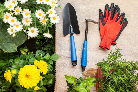 Flowers and vegetable with gardening tools outside the potting shed