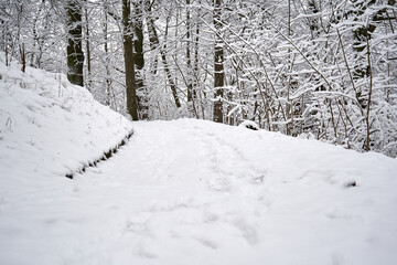 Path in the park after snowfall