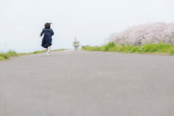 Obraz premium 桜の咲く河川敷をあるく新中学生