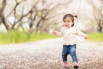 桜の並木を歩く子ども