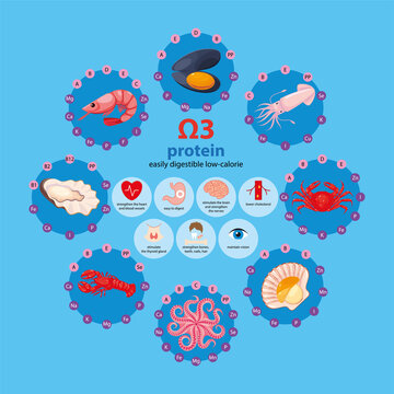 The benefits of seafood, the content of vitamins and macronutrients, the effect on the human body. Vector illustration, cartoon, set of elements, information for packaging, poster