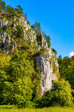 Trench Rock Stronghold - Grodzisko Gora Okopy - Jurassic limestone mountain massif in Pradnik creek valley of Cracow-Czestochowa upland in Ojcow in Lesser Poland