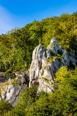 Jurassic limestone mountain massif with Glove Rock - Rekawica - in Pradnik creek valley of Cracow-Czestochowa upland in Ojcow in Lesser Poland