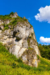 Castle rock - Skala Zamkowa - Jurassic limestone mountain massif in Pradnik creek valley of Cracow-Czestochowa upland in Ojcow in Lesser Poland