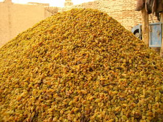 Dried Red Dates Pile Up High in Xinjiang, China