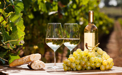 still life with glass of White wine grapes and bread on table in field