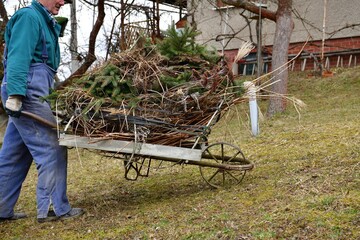 The gardener carries dry grass and branches on a hand wheelbarrow during spring cleaning

