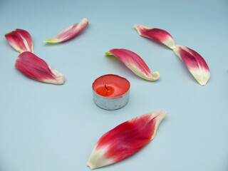 An extinguished candle sprinkled with red tulip petals