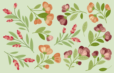 Flowers, plant - set, collection. Spring mood. 
Vector collection of summer flowers in flat style 