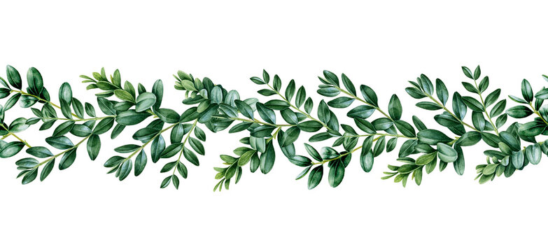 Green leaf Buxus seamless border. Lush boxwood branch decor. Floral endless decorative ornament. Watercolor illustration. Realistic elegant seamless border. Botanical realistic element