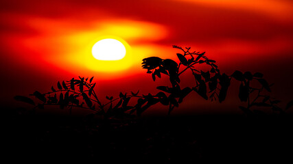 słońce © Krzysztof Rostkowski