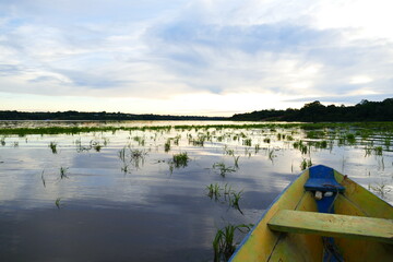 Tropical Amazon landscape, colorful sunset at the lake Mamori near Careiro in the amazon...
