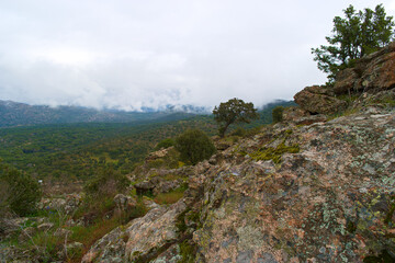 krajobraz góry niebo chmury widoki natura rośliny