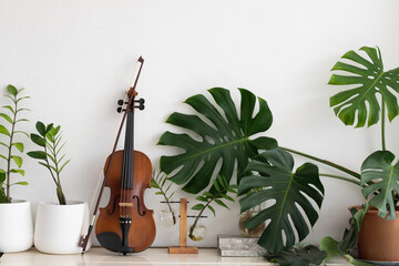 Violin put beside green leaf