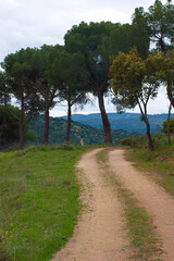 Obraz premium krajobraz góry niebo chmury rośliny widok