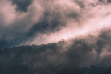Fototapeta na wymiar Mysterious woods in the clouds 